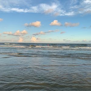 Meet your Posher, Hilda